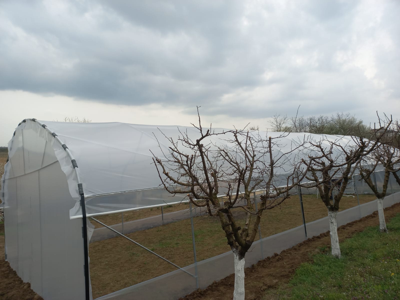 Solar 7m - imagine 7